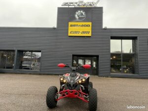 Can-am Renegade XXC 110